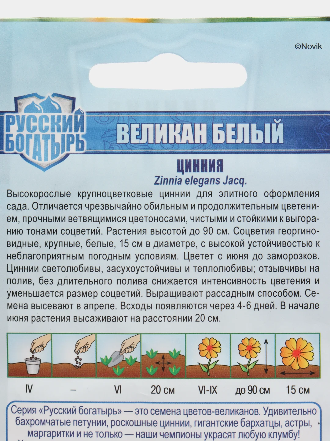 Белый семена цветов Цинния