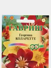 Разноцветный семена цветов Георгина "Коларетте", 0,2 г