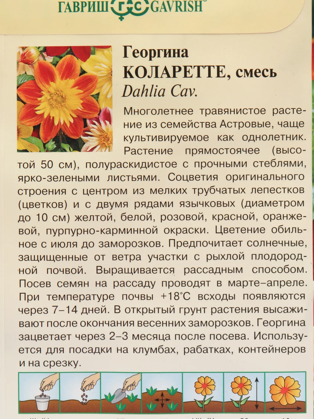 Разноцветный семена цветов Георгина "Коларетте", 0,2 г