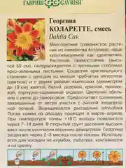 Разноцветный семена цветов Георгина "Коларетте", 0,2 г