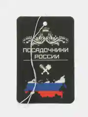 Бронзовый ароматизаторы в машину