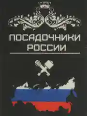 Бронзовый ароматизаторы в машину