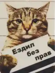 Золотой ароматизаторы в машину