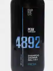 Шампунь-гель для душа Fresh Peak, для мужчин, 2 в 1, 380 мл