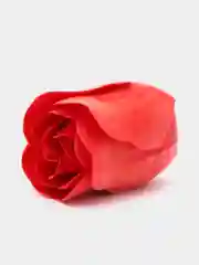 Красный мыльные розочки, набор в подарочной коробке, 10 штук, 5 цветов