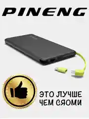 10000 мАч Power bank внешний аккумулятор Pineng PN-951