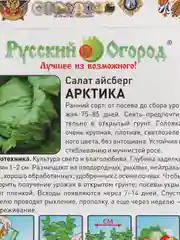 Зеленый семена Салат Айсберг "Арктика", 1 г