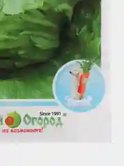 Зеленый семена Салат Айсберг "Арктика", 1 г