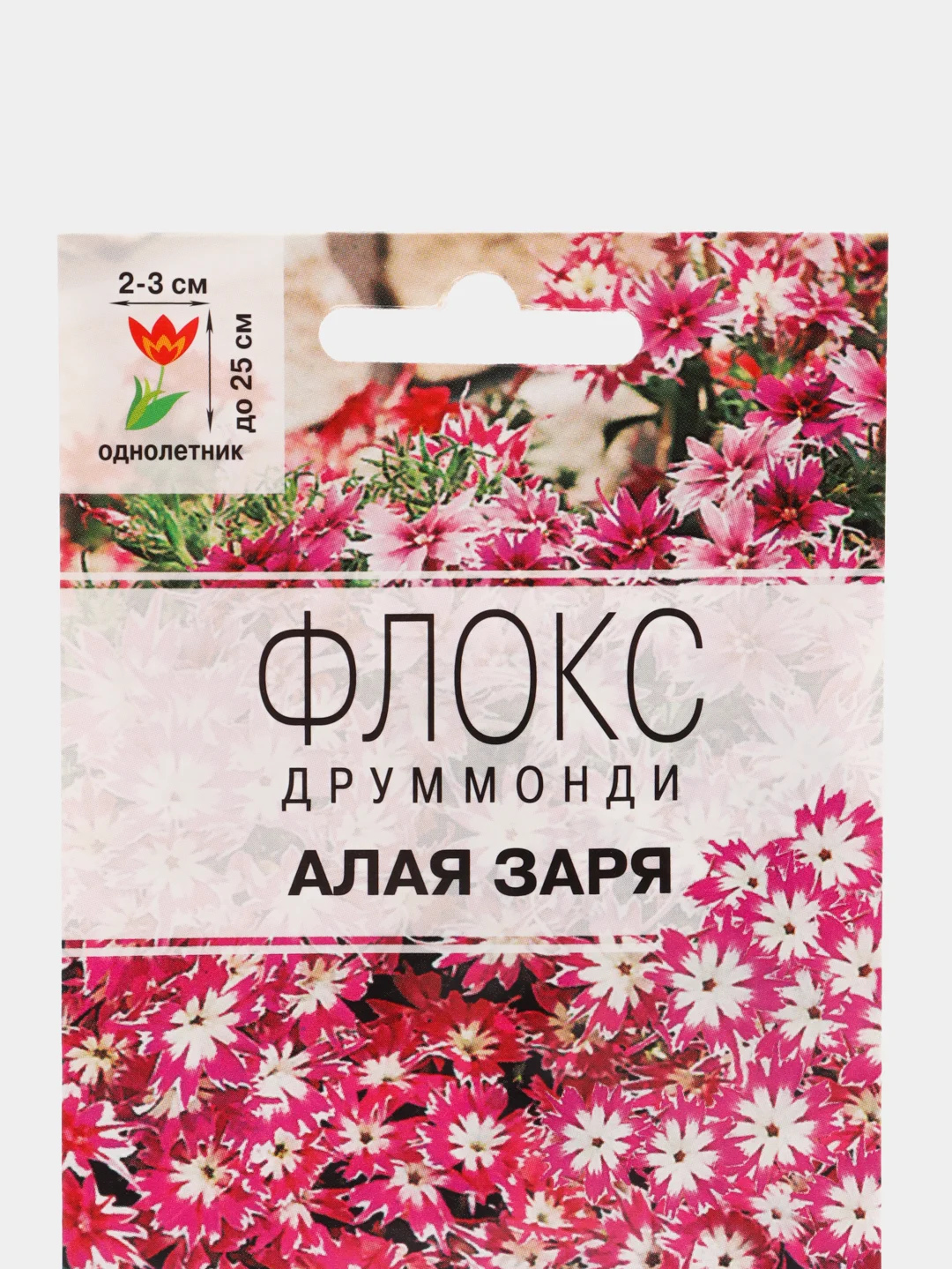 Семена Флокс "Алая заря", смесь, 0,1 г, Цветущий сад