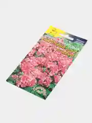 Семена Флокс "Сказочный эльф розовый", 5 штук, Цветущий сад