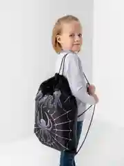 Мешок для обуви BRAUBERG, с петлёй, карман на молнии, 47х37 см, Dangerous spider, 270911