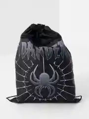 Мешок для обуви BRAUBERG, с петлёй, карман на молнии, 47х37 см, Dangerous spider, 270911