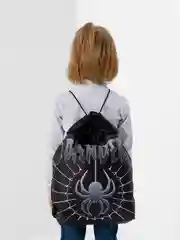 Мешок для обуви BRAUBERG, с петлёй, карман на молнии, 47х37 см, Dangerous spider, 270911