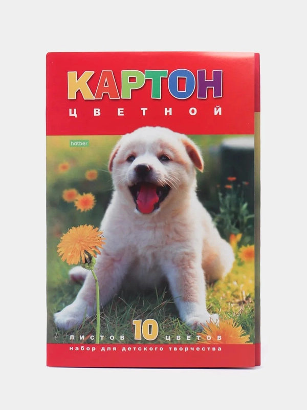 Картон цветной Hatber, А4, 10 цветов, 10 листов