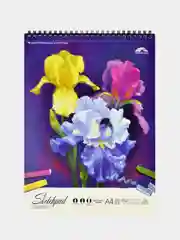 Альбом для смешанных сухих техник А4 "Ирисы", артикул 59483 / 15