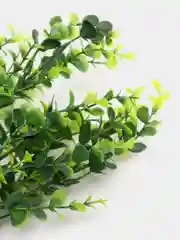Тёмно-зелёный искусственные цветы, 5 видов