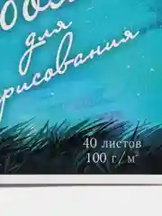 Альбом для рисования "Мечтательница", А4, 40 листов, 60377
