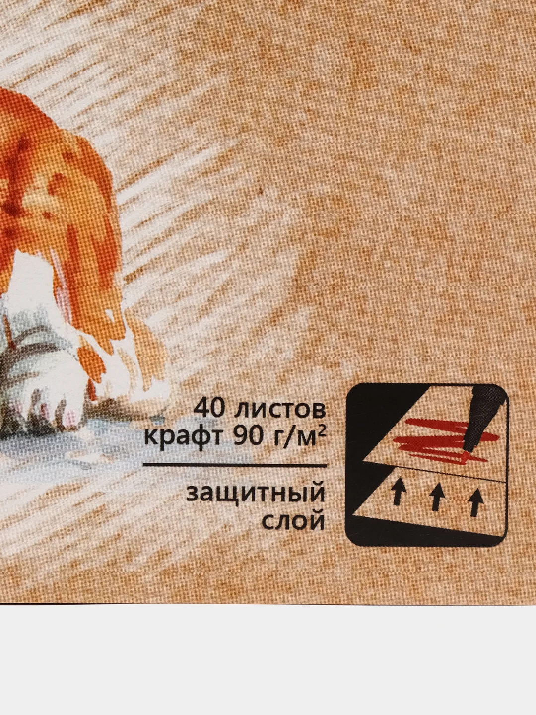 Альбом для рисования маркерами "Корги", 195 х 195 мм, 40 листов