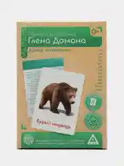 Лесной зеленый набор карточек по методике Глена Домана, в ассортименте