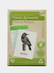 Лайм набор карточек по методике Глена Домана, в ассортименте