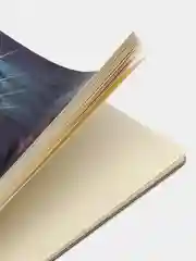 Альбом для смешанных сухих техник "Леопард", А3, артикул 59478/10