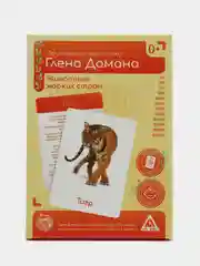 Красный набор карточек по методике Глена Домана, в ассортименте