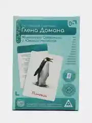 Морской набор карточек по методике Глена Домана, в ассортименте