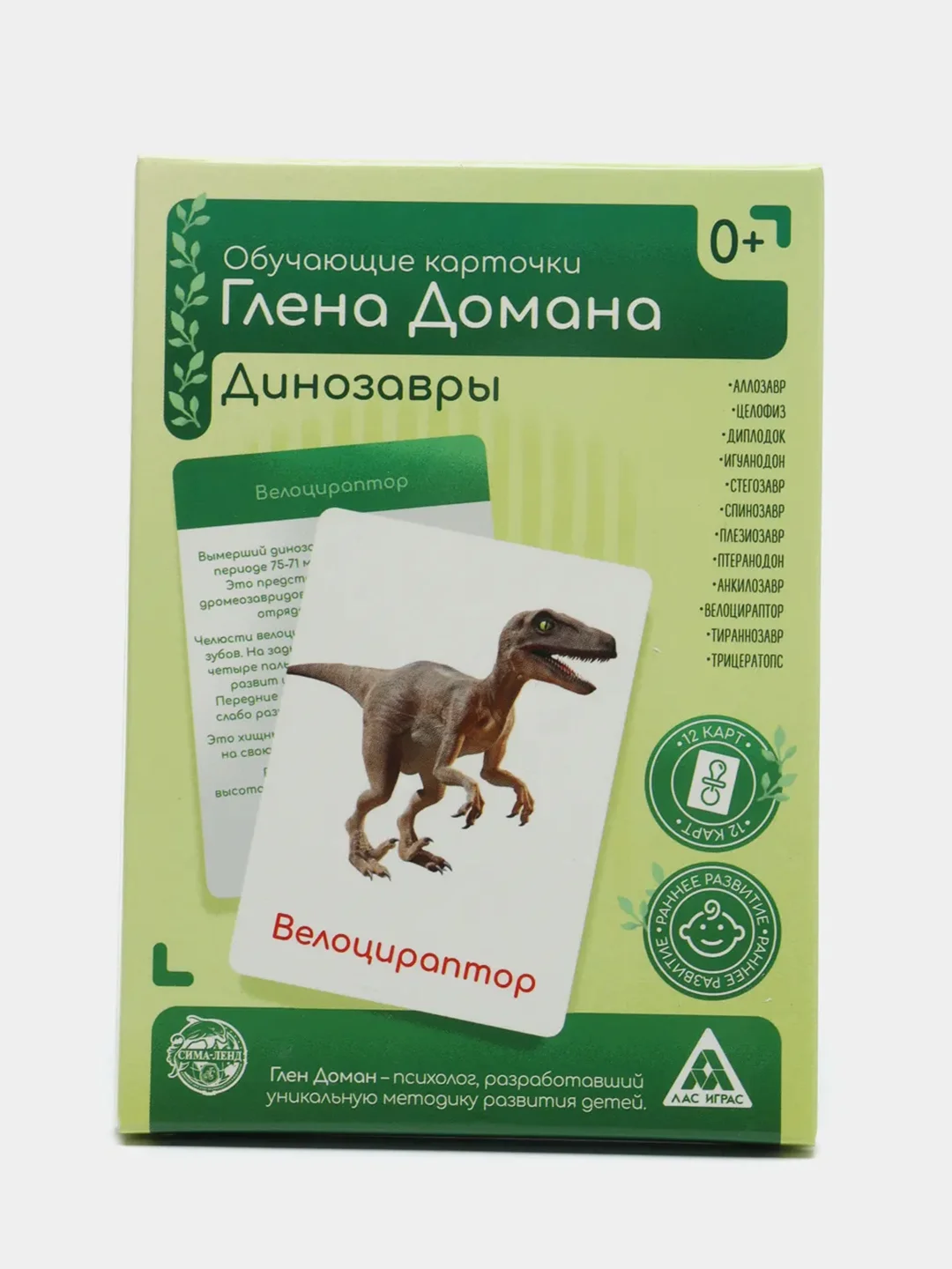 Тёмно-зелёный набор карточек по методике Глена Домана, в ассортименте