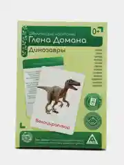 Тёмно-зелёный набор карточек по методике Глена Домана, в ассортименте
