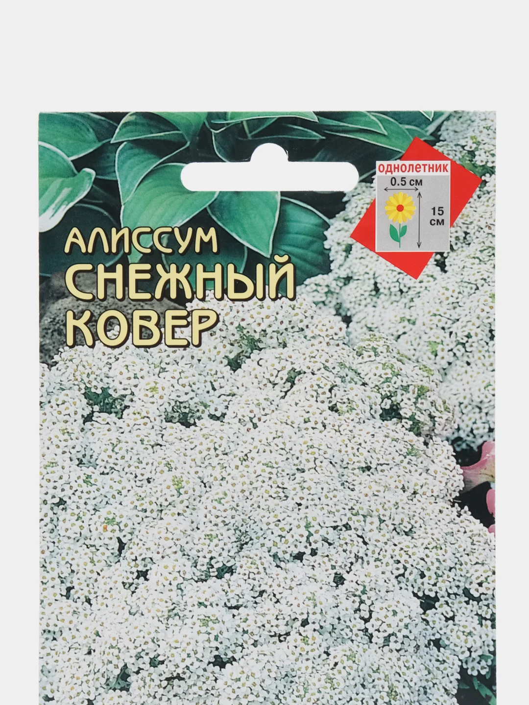 Семена Алиссум "Снежный ковер", 180 штук семян