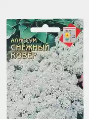 Семена Алиссум "Снежный ковер", 180 штук семян