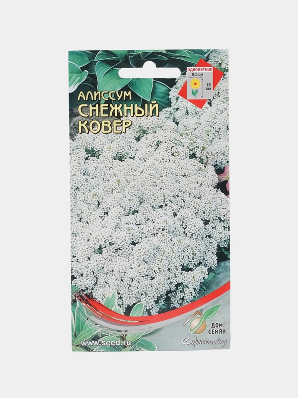 Семена Алиссум "Снежный ковер", 180 штук семян