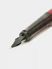 Багровый перьевая ручка