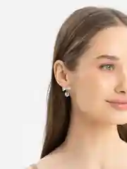 Алый сережки гвоздики