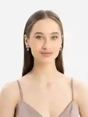 Алый сережки гвоздики