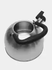 Серебряный чайник со свистком