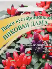 Перец кустарниковый "Пиковая дама", Гавриш