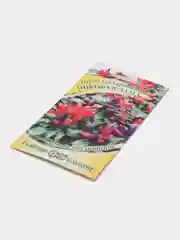 Перец кустарниковый "Пиковая дама", Гавриш
