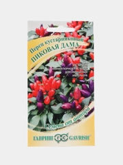 Перец кустарниковый "Пиковая дама", Гавриш