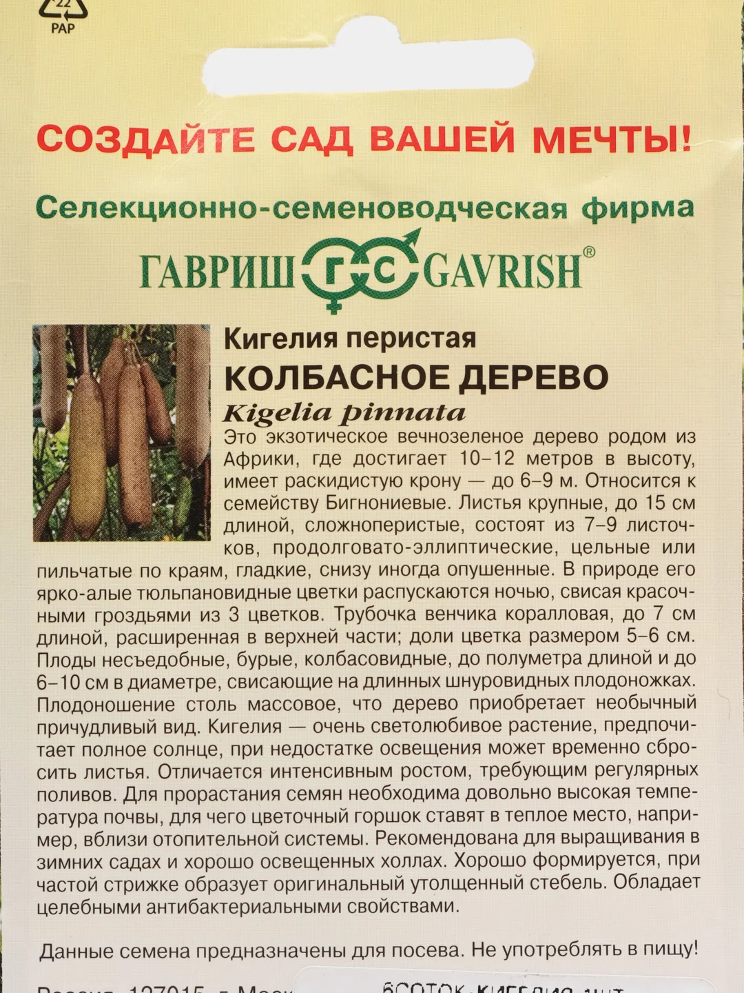 Кигелия Гавриш "Колбасное дерево", 3 штуки