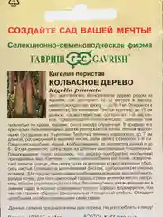 Кигелия Гавриш "Колбасное дерево", 3 штуки