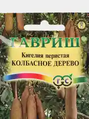 Кигелия Гавриш "Колбасное дерево", 3 штуки