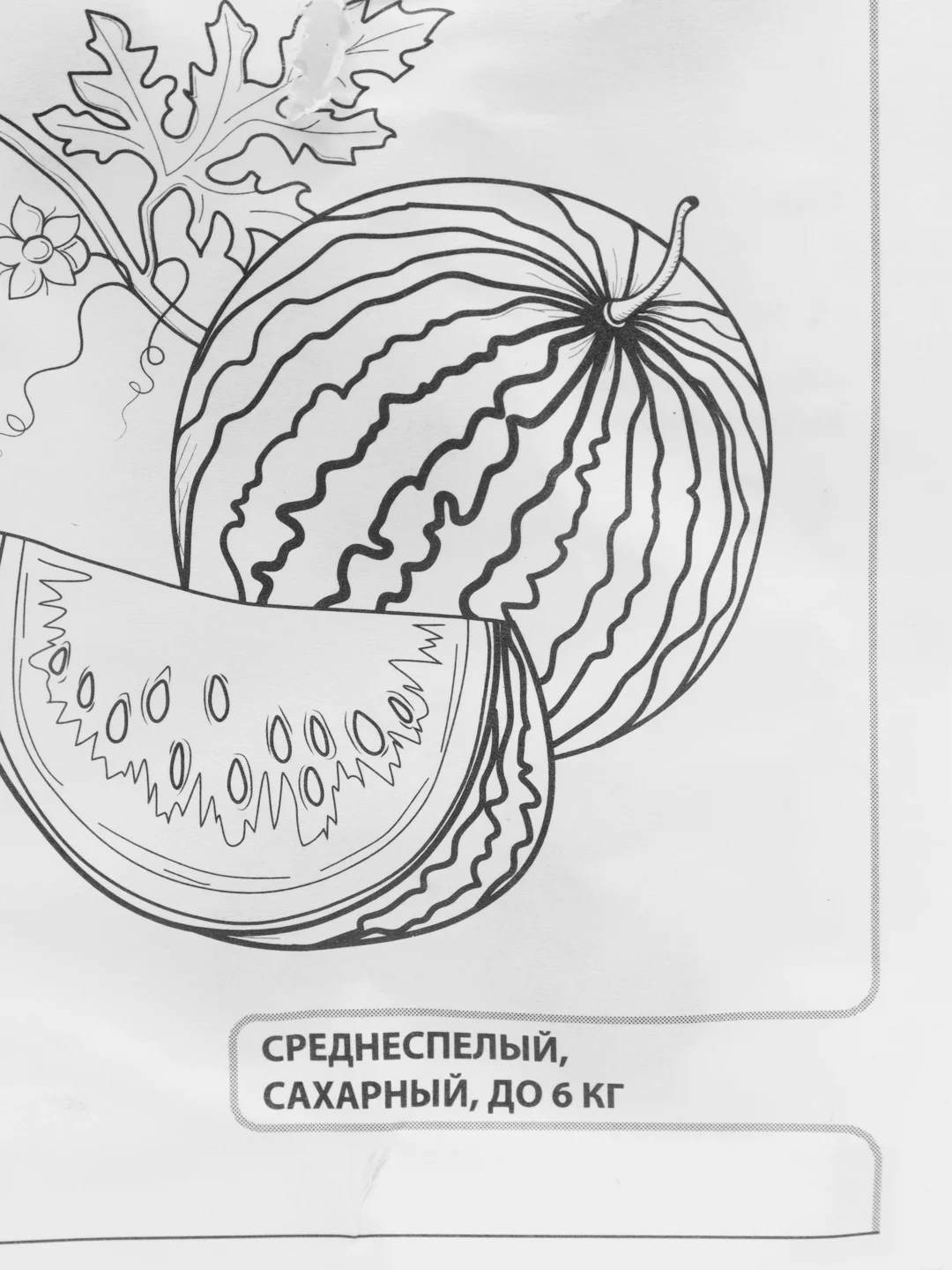 Семена Арбуз "Астраханский", Гавриш, 0,5 г
