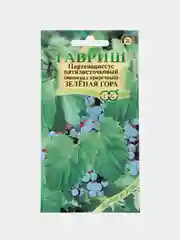 Семена Виноград приречный (Партеноциссус) "Зеленая гора", 5 штук, Гавриш