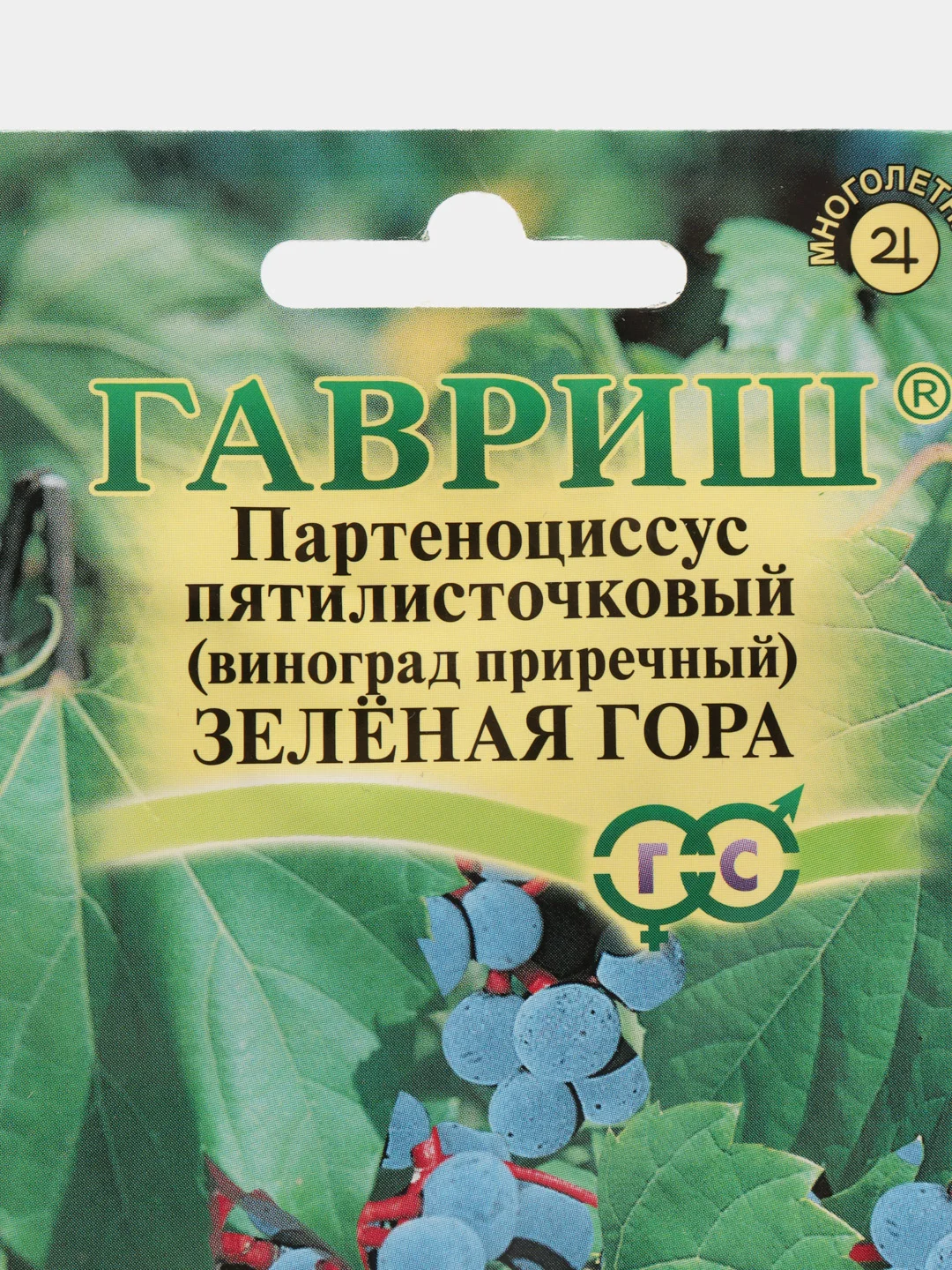 Семена Виноград приречный (Партеноциссус) "Зеленая гора", 5 штук, Гавриш