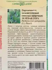 Семена Виноград приречный (Партеноциссус) "Зеленая гора", 5 штук, Гавриш