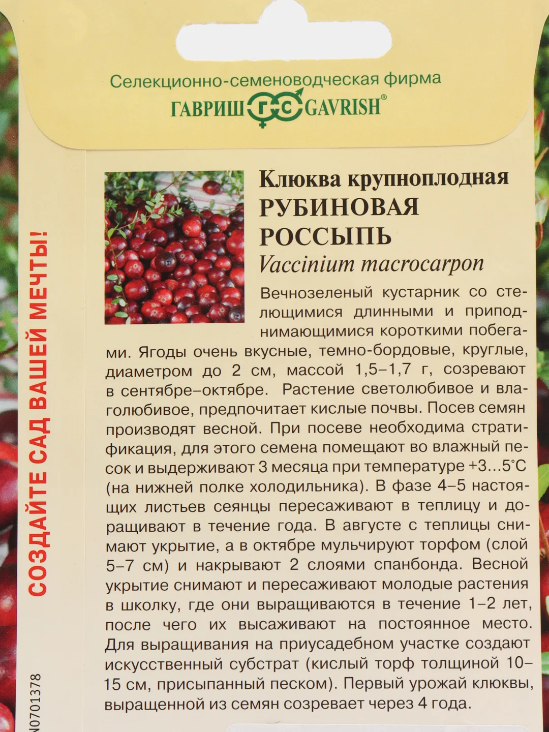 Клюква Гавриш "Рубиновая россыпь", 30 штук