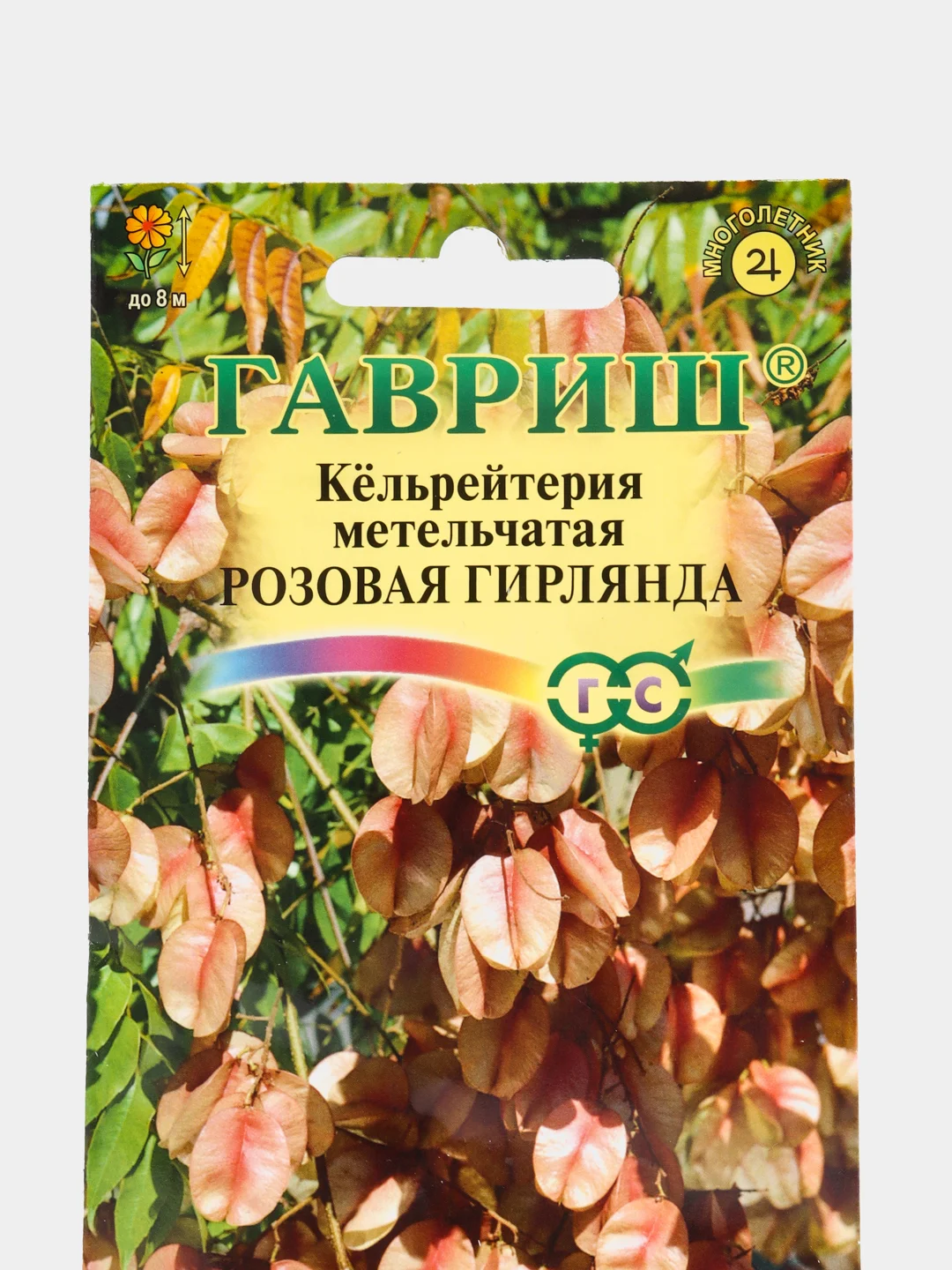 Кёльрейтерия Гавриш "Розовая гирлянда", 10 штук