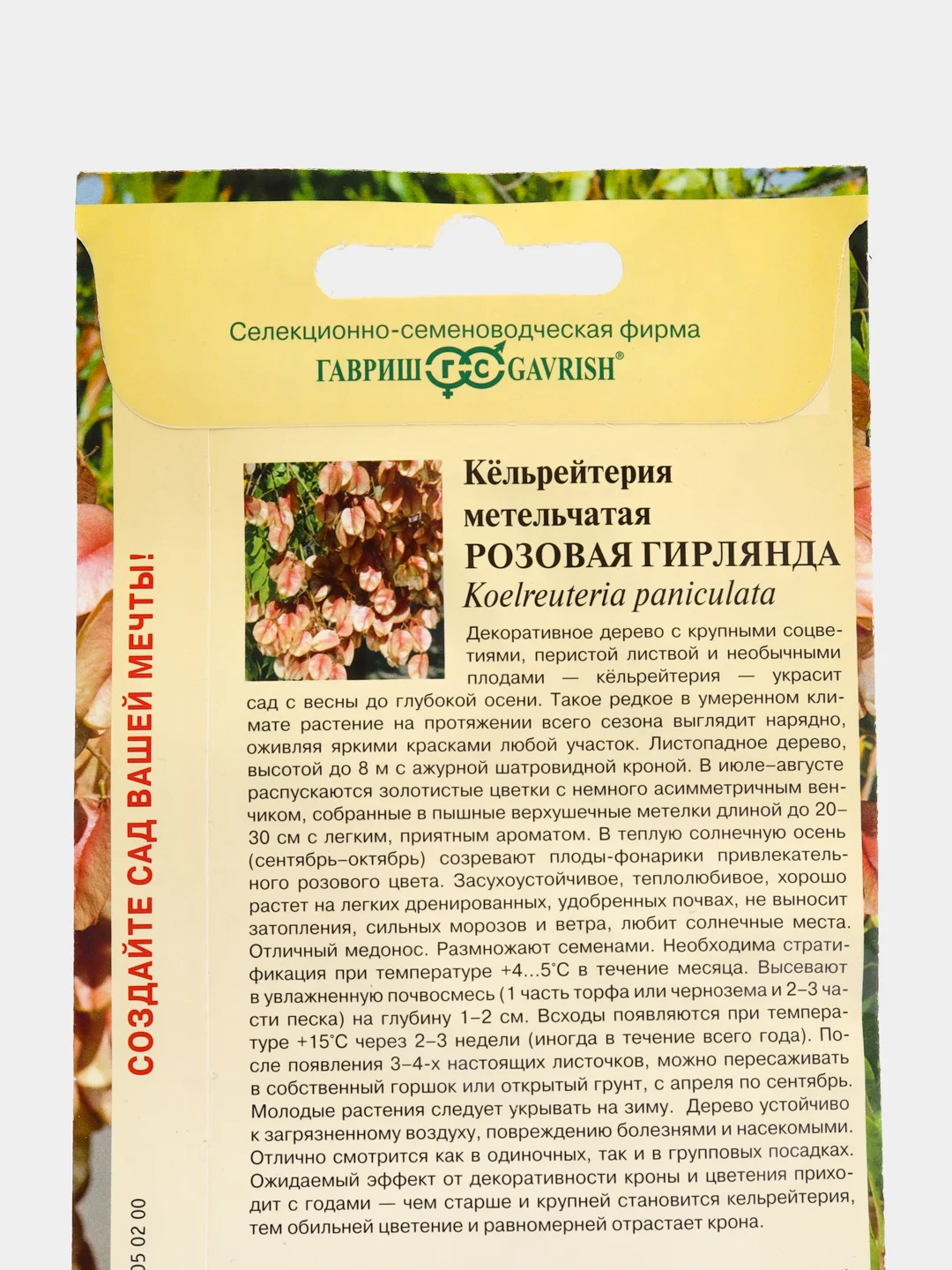 Кёльрейтерия Гавриш "Розовая гирлянда", 10 штук