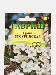 Груша Гавриш "Уссурийская", 0,3 г